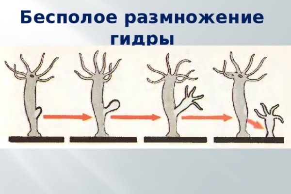 Интернет магазин мега как зайти в телефоне