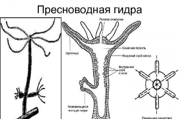 Как загрузить фото на мегу через андроид