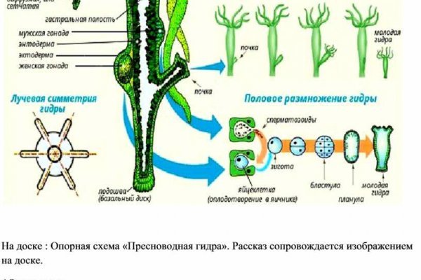 Как зайти на сайт блэкспрут в торе