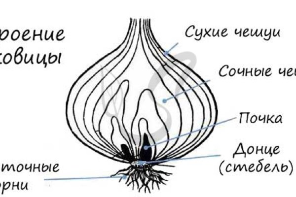 Ссылочка на мегу