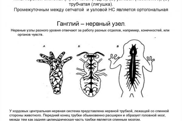 Что такое BlackSprut